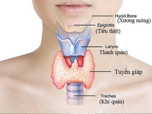 Thuốc điều trị bệnh suy giáp bẩm sinh