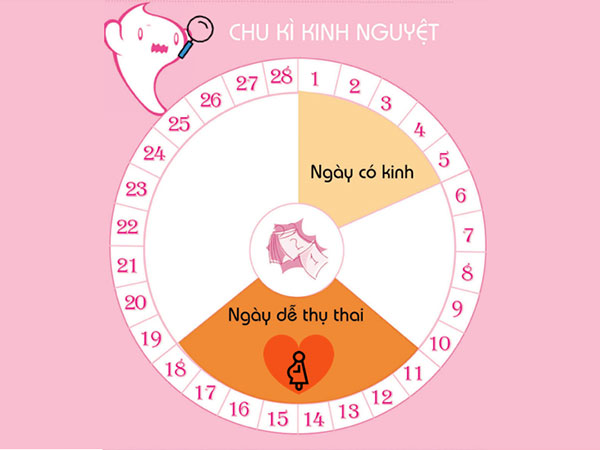 Quan hệ trước kỳ kinh nguyệt có thụ thai không?