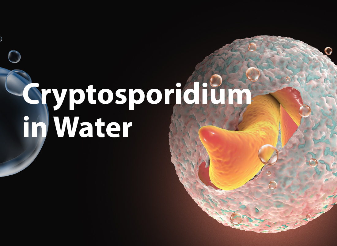 Bệnh do Cryptosporidium: Nguyên nhân, biểu hiện, cách điều trị và phòng bệnh